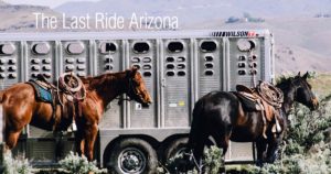 Transporting Your Horse Safely in a Trailer