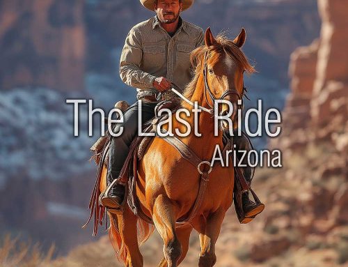 Caring for Horses in the East Valley’s Desert Summers