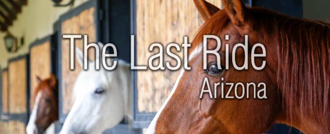 Fall Pasture and Barn Maintenance Tips for East Valley Horse Owners