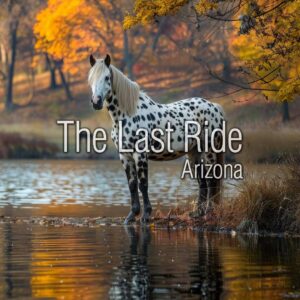 Preparing Your East Valley Horses for Cooler Fall Weather