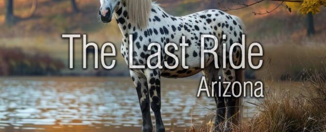 Preparing Your East Valley Horses for Cooler Fall Weather