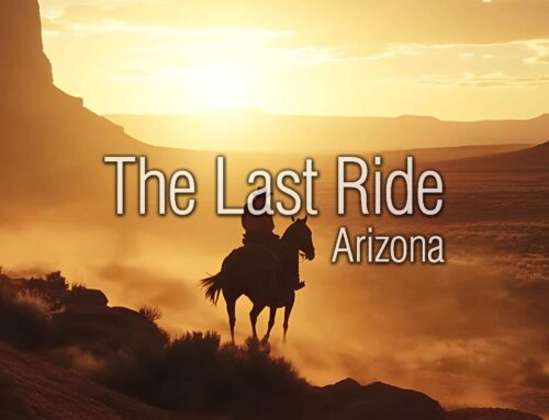 Preparing East Valley Horses for the Cooler Winter Months