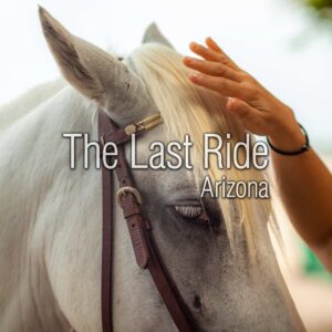 Giving Thanks for Our Horses — Honoring Their Companionship in the East Valley 2