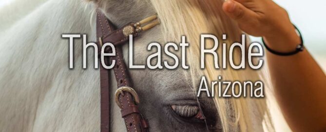 Giving Thanks for Our Horses — Honoring Their Companionship in the East Valley 2