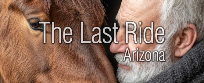 Supporting Aging Horses in the East Valley During the Holiday Season 2