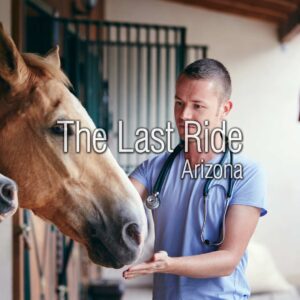 Supporting East Valley Barns and Vets Through the Holiday Season