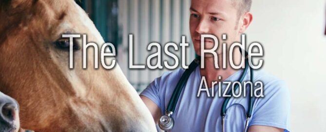 Supporting East Valley Barns and Vets Through the Holiday Season