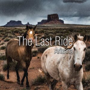 Planning Ahead — Why East Valley Horse Owners Should Know Their End of Life Options