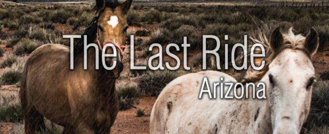 Planning Ahead — Why East Valley Horse Owners Should Know Their End of Life Options