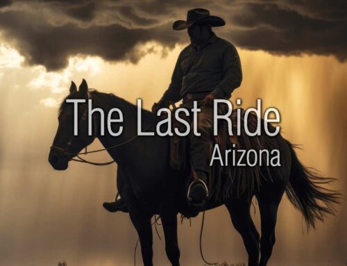 Winter Wellness for Senior Horses in the East Valley Desert Climate