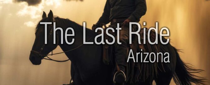 Winter Wellness for Senior Horses in the East Valley Desert Climate