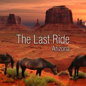 Late Winter Horse Care in the Phoenix East Valley — Preparing for Spring Activity