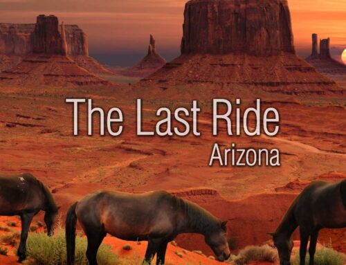 Late-Winter Horse Care in the Phoenix East Valley — Preparing for Spring Activity