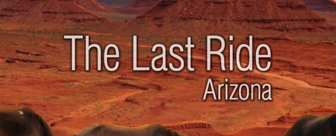 Late Winter Horse Care in the Phoenix East Valley — Preparing for Spring Activity