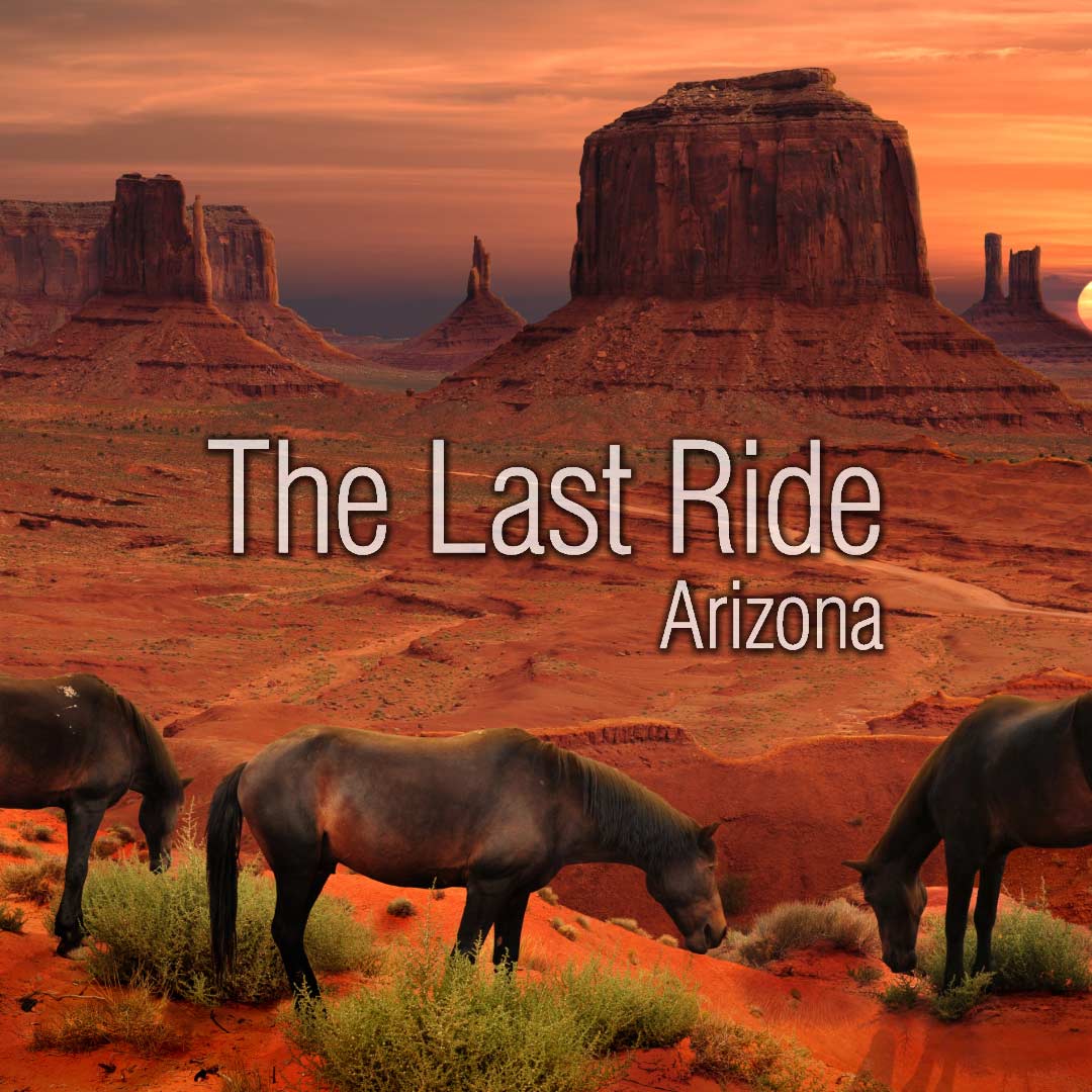 Late Winter Horse Care in the Phoenix East Valley — Preparing for Spring Activity