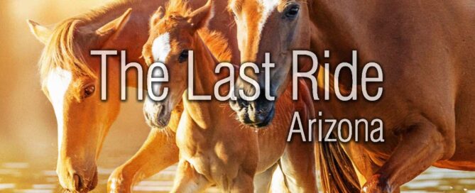 Recognizing Quality of Life Changes in Aging Horses During East Valley Winters