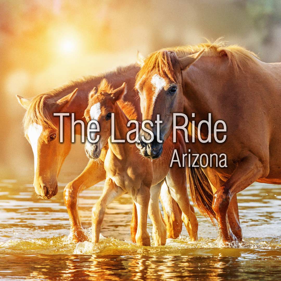 Recognizing Quality of Life Changes in Aging Horses During East Valley Winters