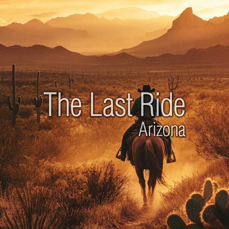 Large Animal Removal Services