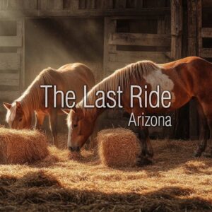 East Valley Spring Cleaning for Horse Properties — Barn, Pasture, and Safety Tips