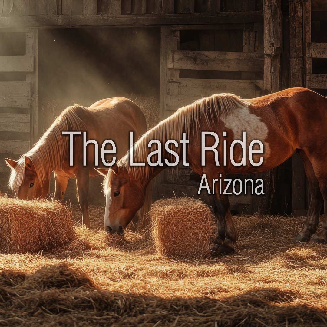 East Valley Spring Cleaning for Horse Properties — Barn, Pasture, and Safety Tips