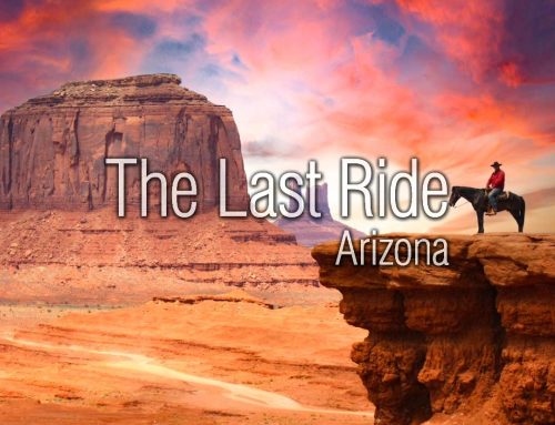 Hydration Matters – Preventing Dehydration in East Valley Horses