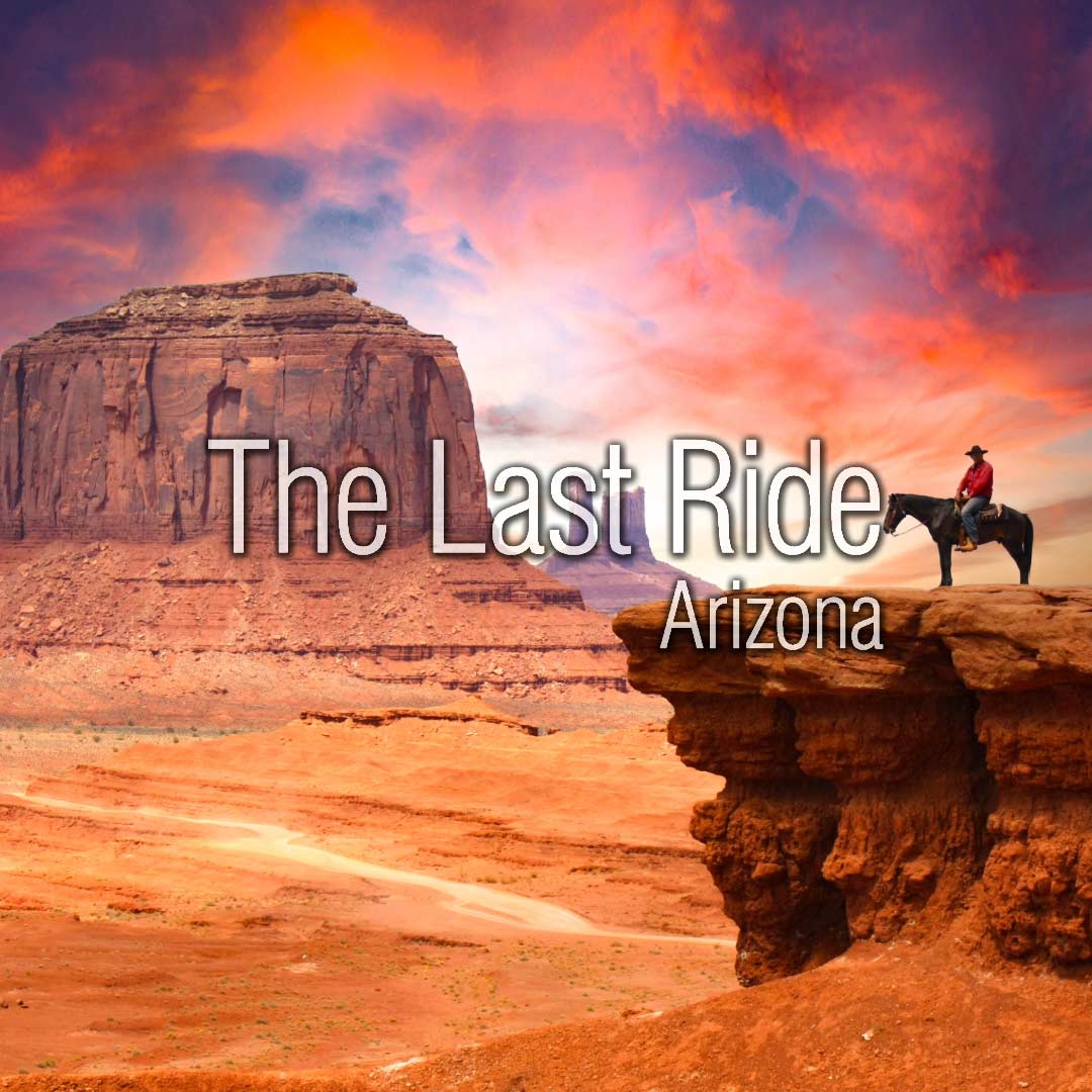 Hydration Matters Preventing Dehydration in East Valley Horses