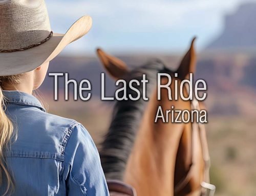 Recognizing When Heat Becomes Too Much for Aging Horses in the East Valley