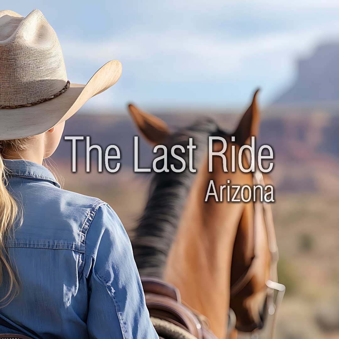 Recognizing When Heat Becomes Too Much for Aging Horses in the East Valley