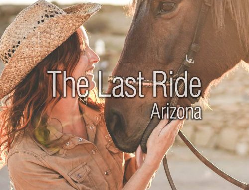 How Summer Heat Impacts Aging Horses in the East Phoenix Valley