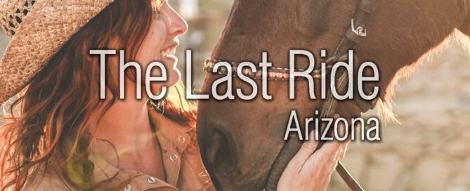 How Summer Heat Impacts Aging Horses in the East Phoenix Valley