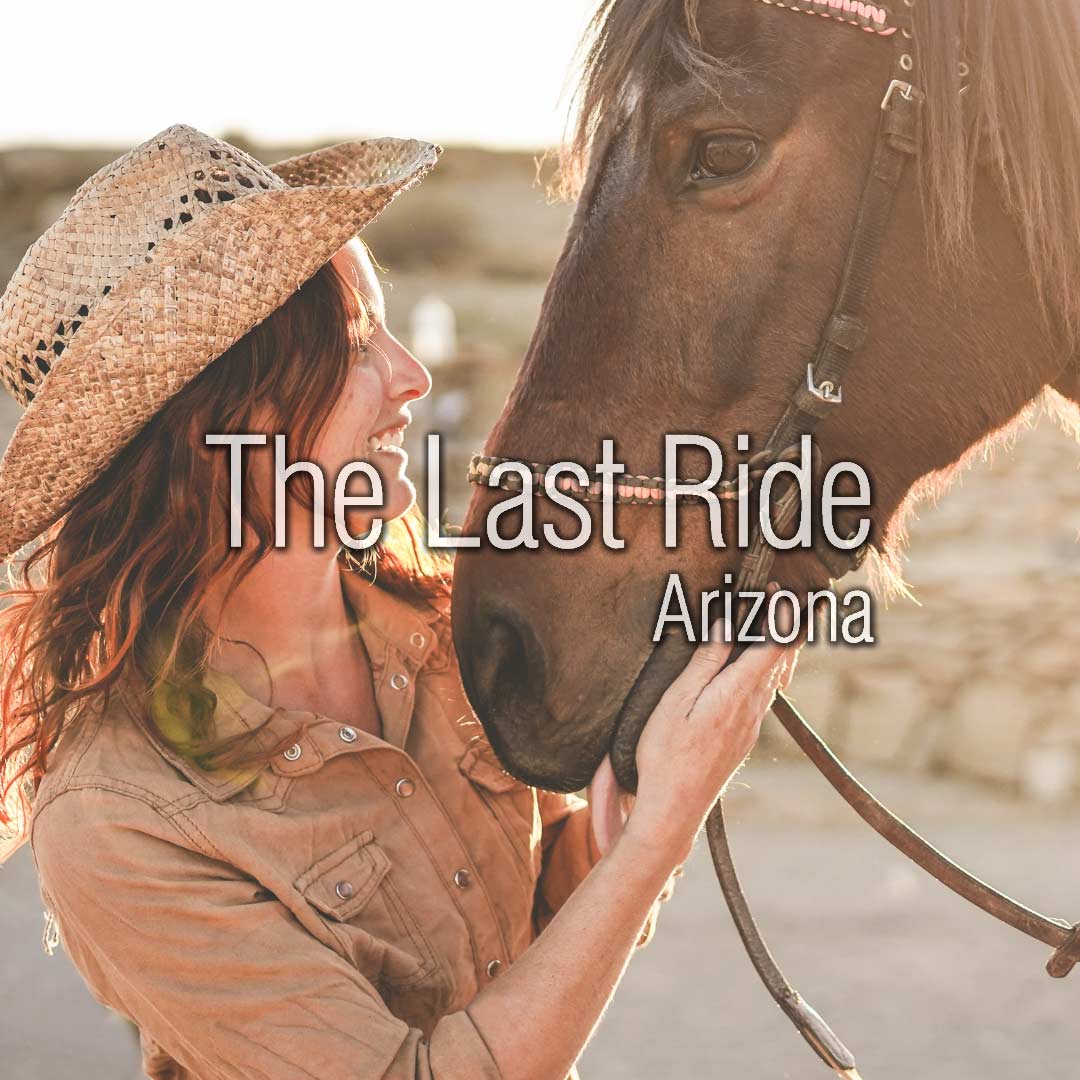 How Summer Heat Impacts Aging Horses in the East Phoenix Valley