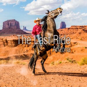 Shade, Water, and Airflow — Creating a Safer Summer Environment for East Valley Horses