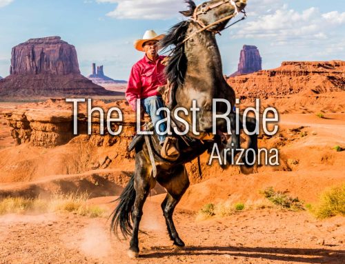 Shade, Water, and Airflow — Creating a Safer Summer Environment for East Valley Horses