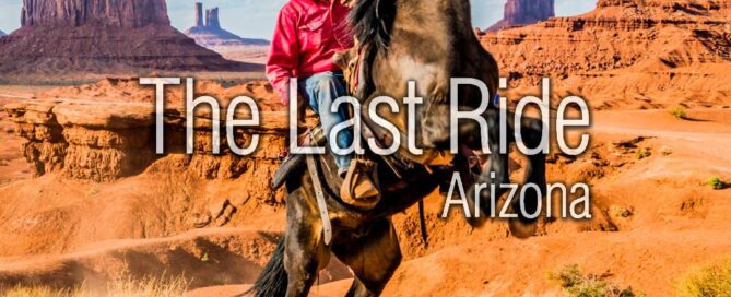 Shade, Water, and Airflow — Creating a Safer Summer Environment for East Valley Horses