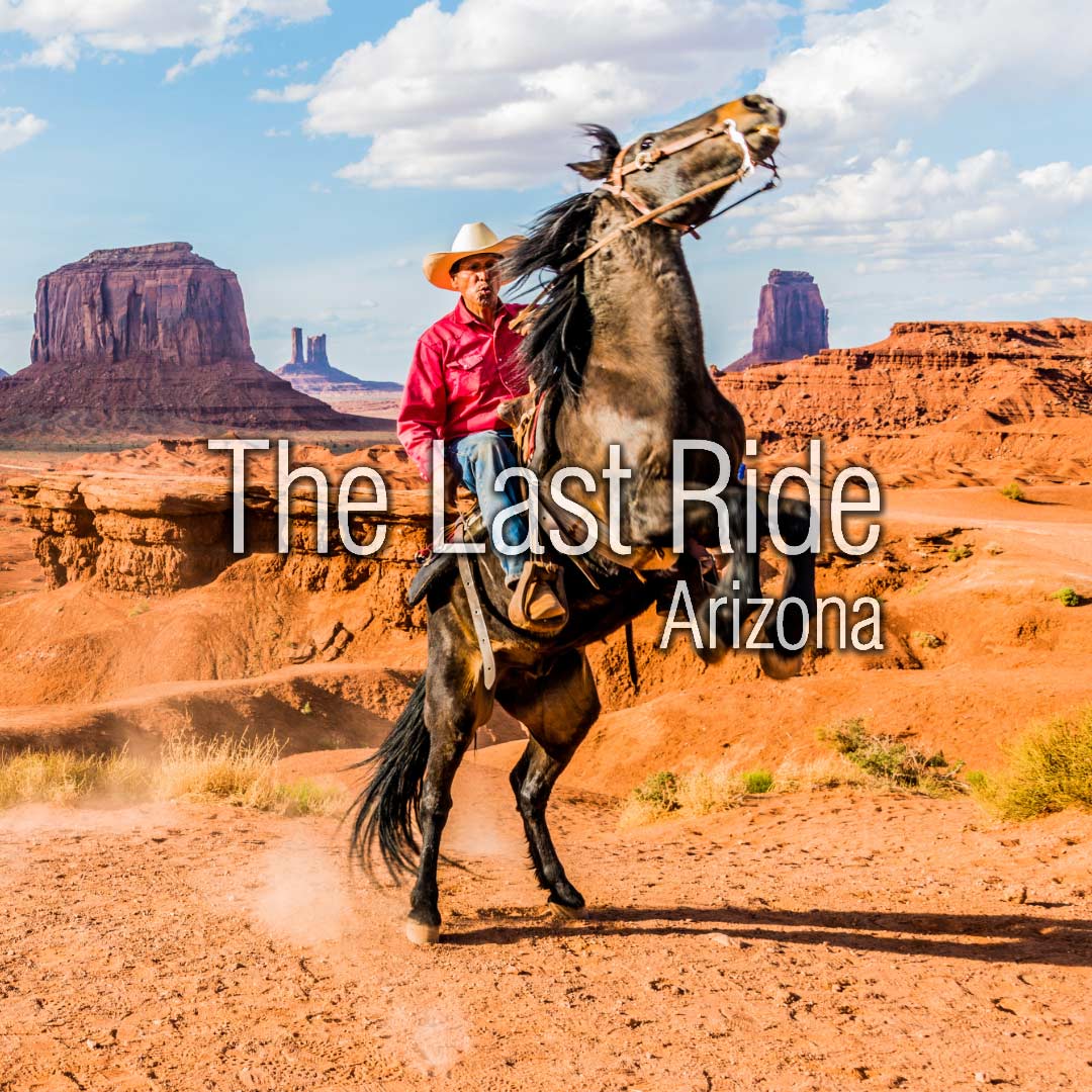 Shade, Water, and Airflow — Creating a Safer Summer Environment for East Valley Horses