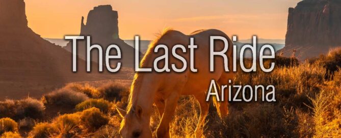 Surviving Triple Digit Temperatures — Summer Horse Safety in the Phoenix East Valley