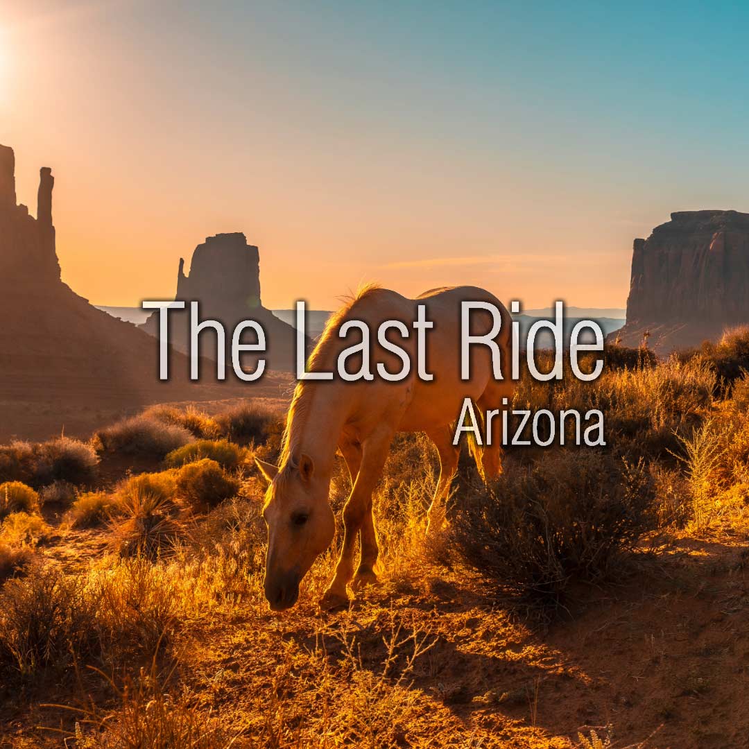 Surviving Triple Digit Temperatures — Summer Horse Safety in the Phoenix East Valley