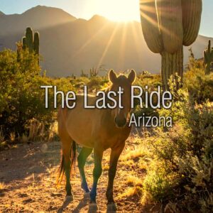 Monsoon Season and Horse Safety in the Phoenix East Valley