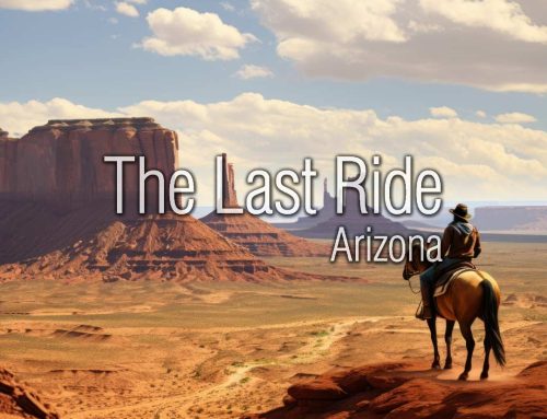 What Makes the East Valley Such a Special Place for Horse Owners?