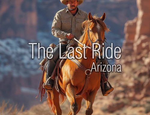 Every Horse Leaves a Legacy – Celebrating the Lifelong Bond Between Phoenix East Valley Owners and Their Horses
