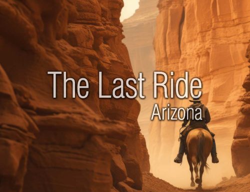 Preparing Phoenix East Valley Horses for a Healthy Fall – What to Start Doing in August