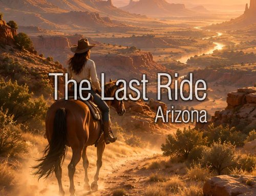 After a Long Arizona Summer – September Health Checks for Senior East Valley Horses