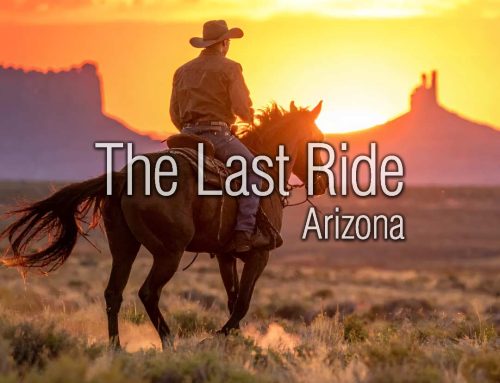 Fall Riding Is Almost Here – Getting Your Phoenix East Valley Horse Back in Shape