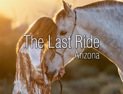 Horse Show Season Returns – Preparing Your Phoenix East Valley Horse for a Busy October
