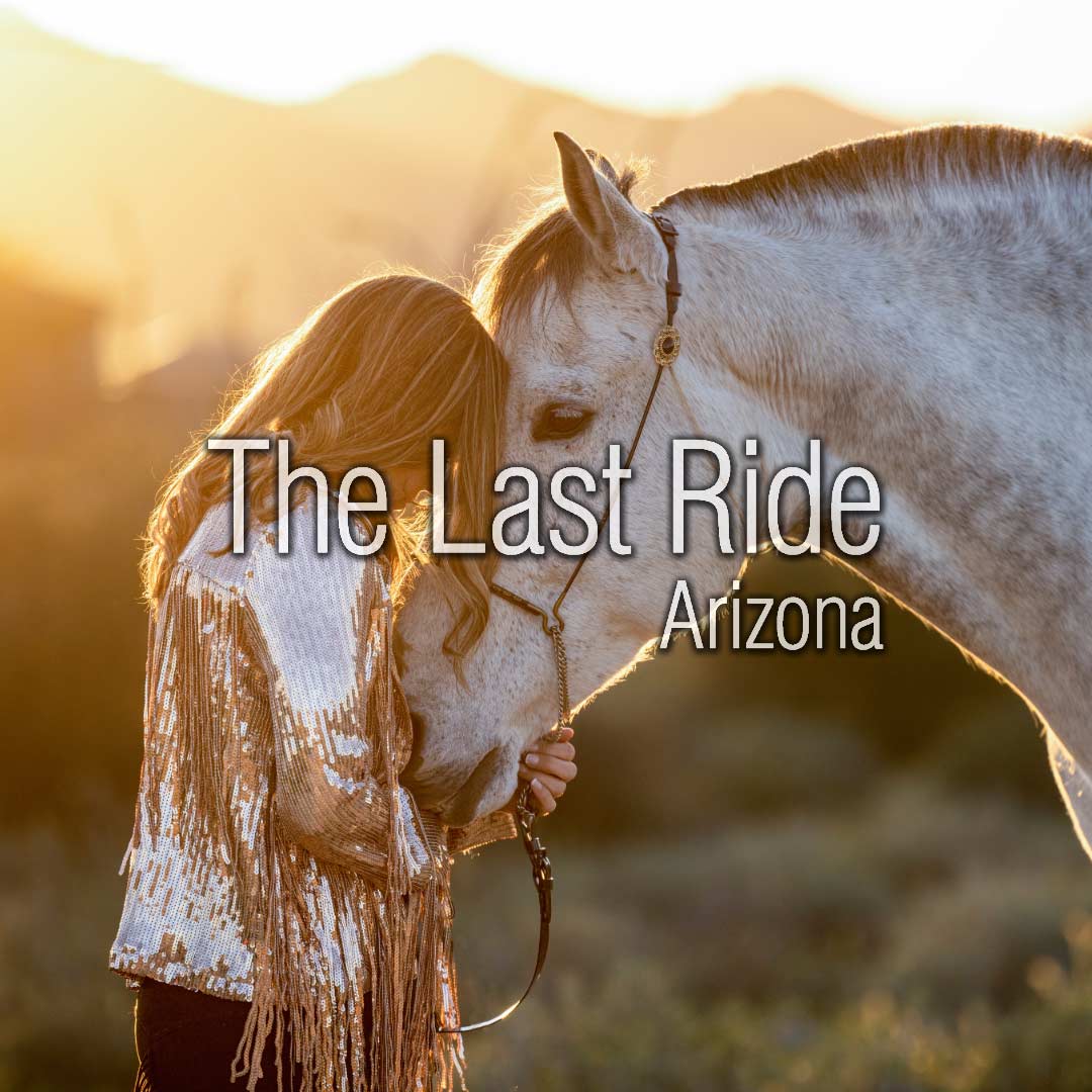 Horse Show Season Returns Preparing Your Phoenix East Valley Horse for a Busy October