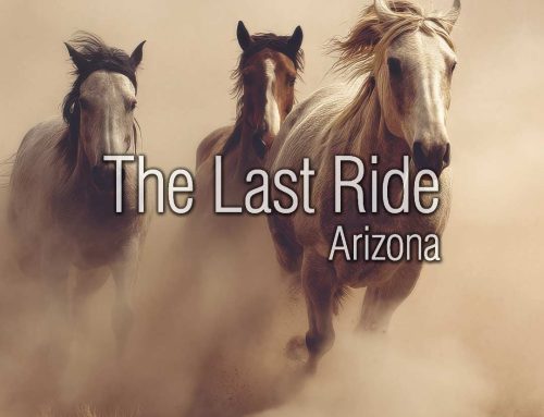 October Trail Riding in the Phoenix East Valley – A Safety Checklist Before You Saddle Up