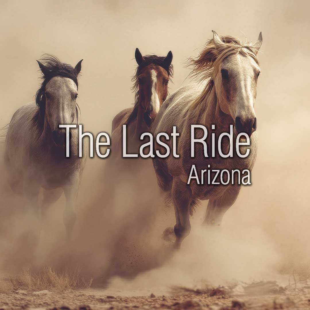 October Trail Riding in the Phoenix East Valley A Safety Checklist Before You Saddle Up