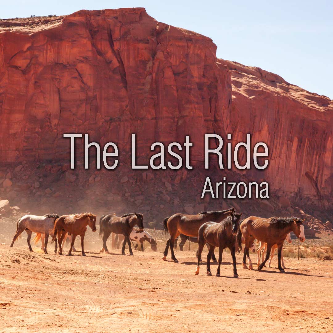 Preparing Your Phoenix East Valley Horse Property for the Cooler Winter Months